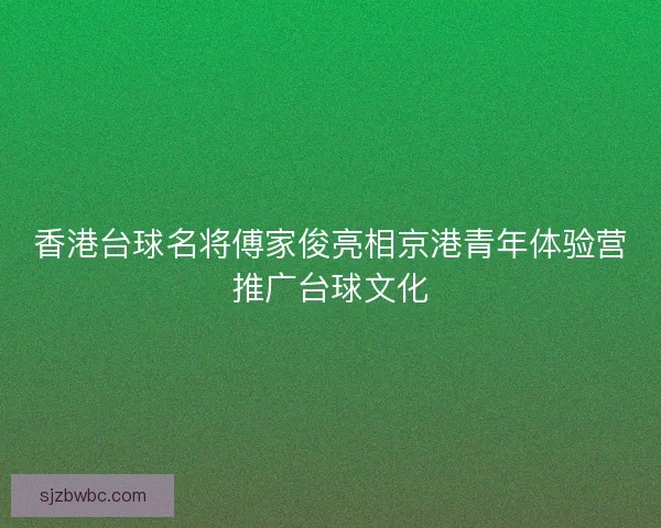 香港台球名将傅家俊亮相京港青年体验营推广台球文化