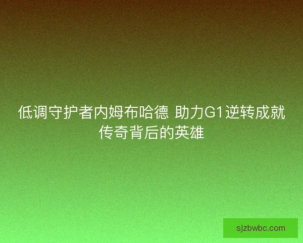 低调守护者内姆布哈德 助力G1逆转成就传奇背后的英雄