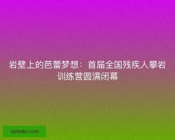 岩壁上的芭蕾梦想：首届全国残疾人攀岩训练营圆满闭幕